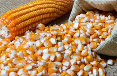 fpocorn